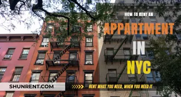 Mastering the NYC Rental Market: Your Ultimate Apartment Hunting Guide