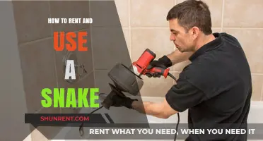 Renting and Handling Snakes: A Beginner's Guide to Safe Usage