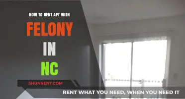 Renting an Apartment with a Felony in North Carolina: A Guide