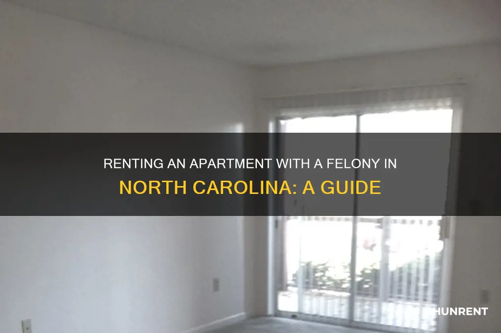 how to rent apt with felony in nc
