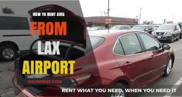 Renting Avis at LAX: A Step-by-Step Guide for Travelers