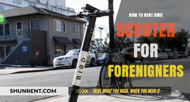 Renting Bird Scooters Abroad: A Foreigner's Quick Guide