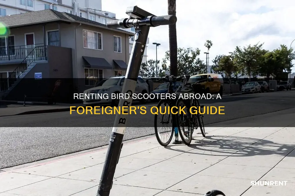 how to rent bird scooter for forenigners
