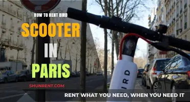 Renting Bird Scooters in Paris: A Quick and Easy Guide