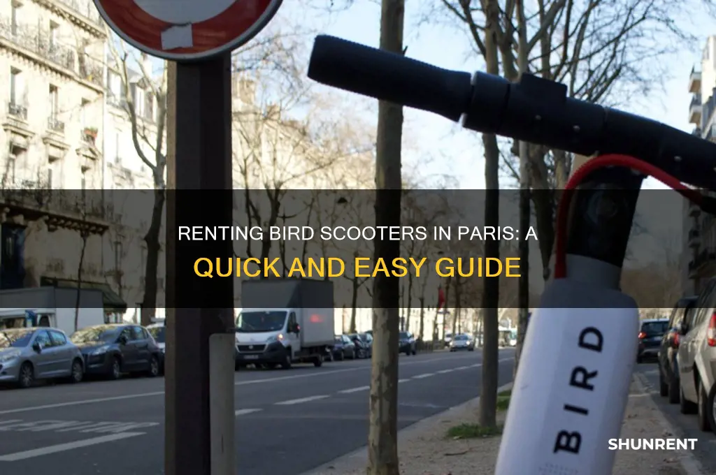 how to rent bird scooter in paris
