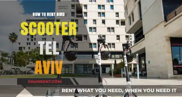 Renting Bird Scooters in Tel Aviv: A Quick & Easy Guide