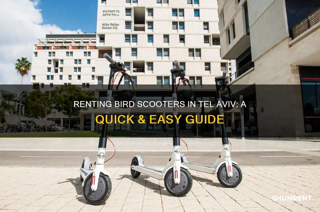how to rent bird scooter tel aviv