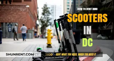 Renting Bird Scooters in DC: A Quick and Easy Guide