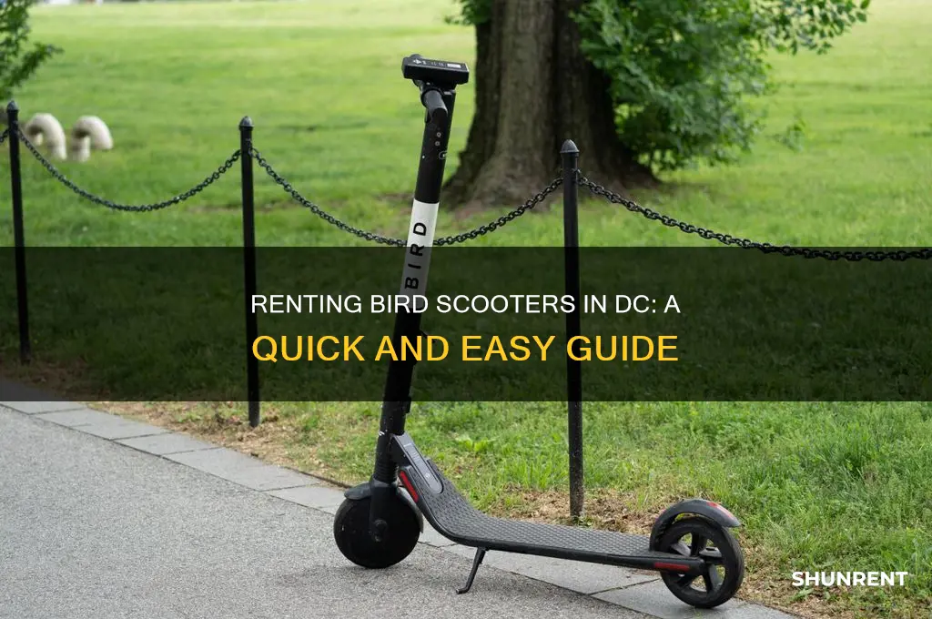 how to rent bird scooters in dc
