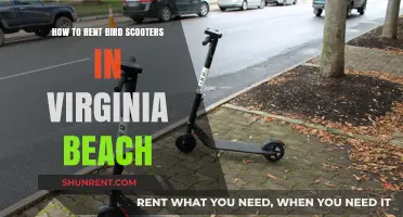 Renting Bird Scooters in Virginia Beach: A Quick Guide