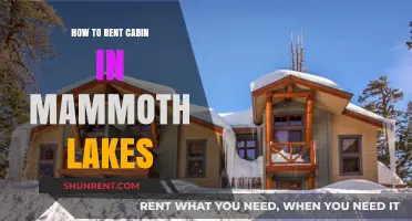 Renting Your Dream Cabin in Mammoth Lakes: A Step-by-Step Guide