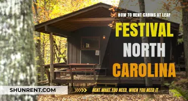 Renting Cabins at Leaf Festival: Your Ultimate North Carolina Guide