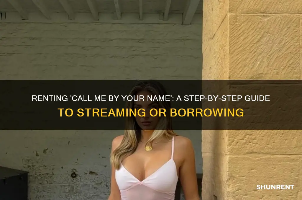 how to rent call me by your name