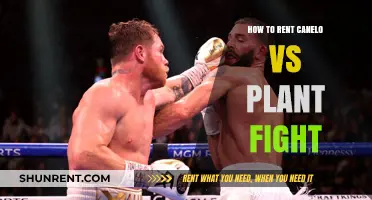 Rent Canelo vs Plant Fight: Easy Streaming Guide for Fans