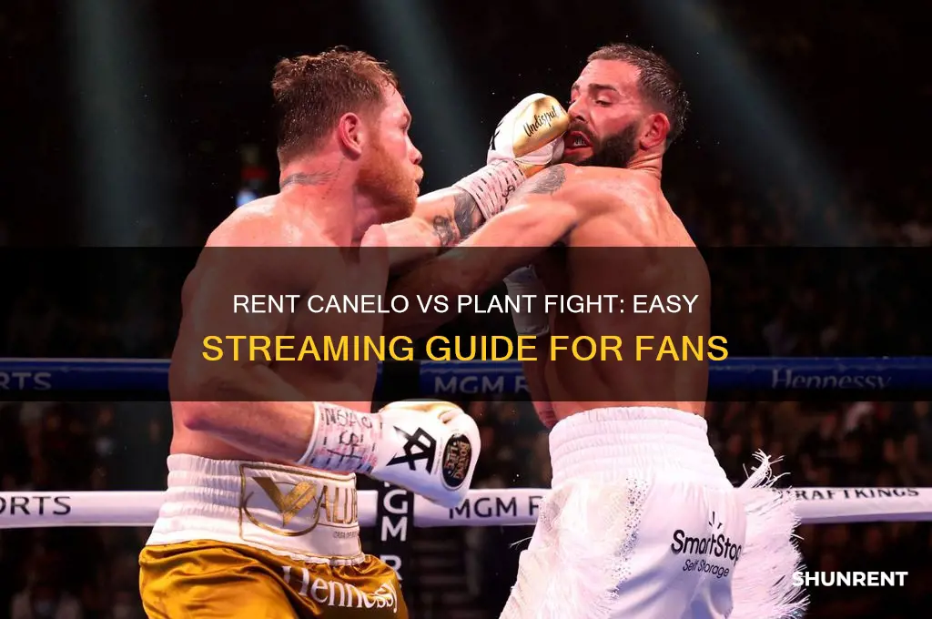 how to rent canelo vs plant fight
