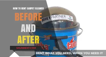 Renting a Carpet Cleaner: Before and After Tips for Spotless Results