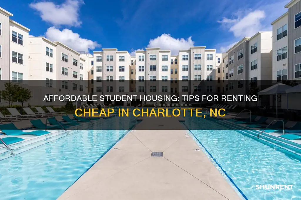 how to rent cheap as a student charlotte nc
