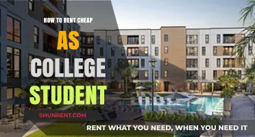 Smart Student Savings: Affordable Renting Tips for College Life