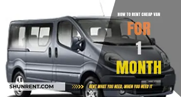 Affordable Van Rental Tips: Save Big on a Month-Long Lease