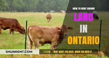 Renting Crown Land in Ontario: A Step-by-Step Guide