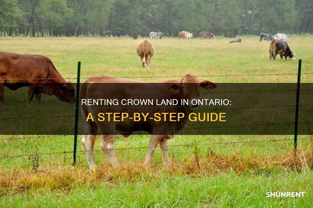 how to rent crown land in ontario