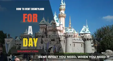 Renting Disneyland for a Day: Your Ultimate Private Park Experience