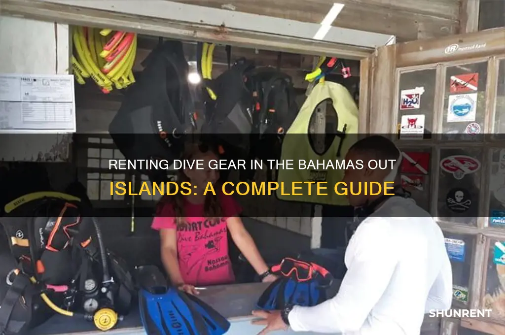 how to rent dive gear in bahamas out islands