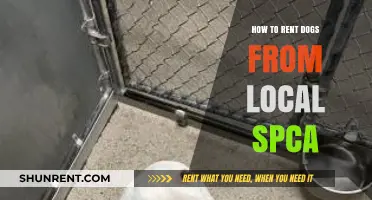 Renting Dogs from Your Local SPCA: A Step-by-Step Guide