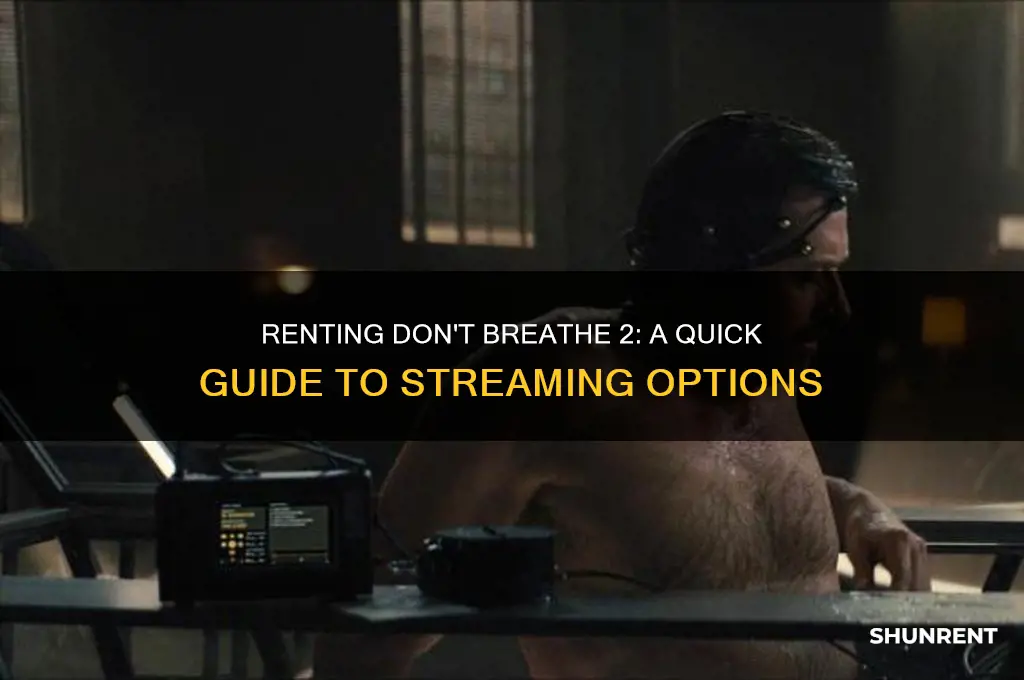 how to rent don