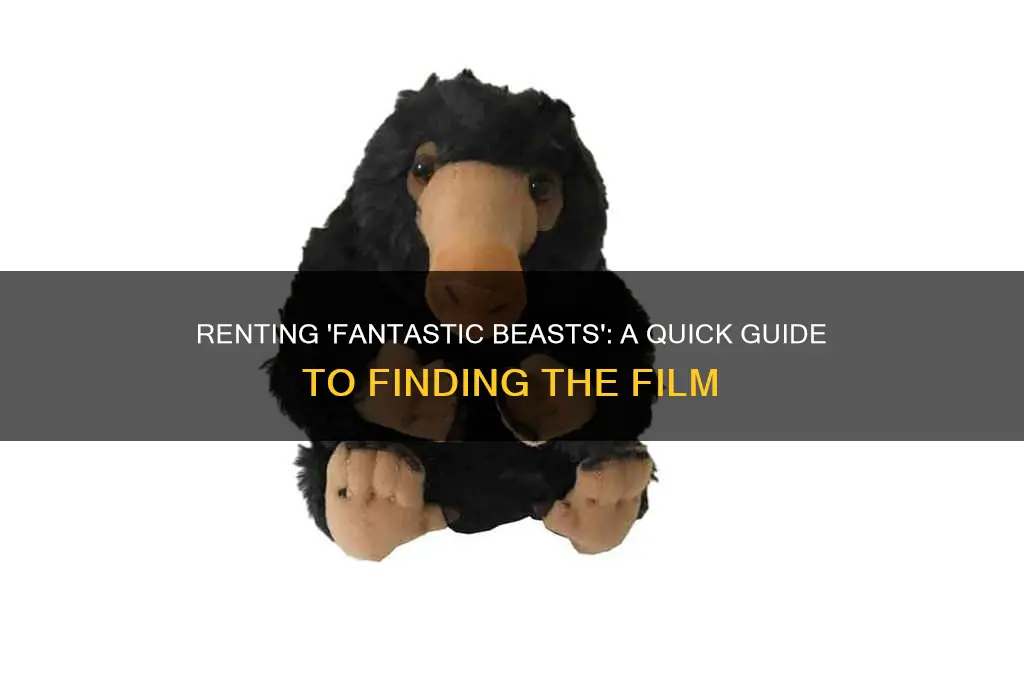 how to rent fantastic beasts and where to find them