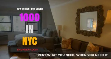 Affordable NYC Living: Tips to Rent Under $1000 Monthly