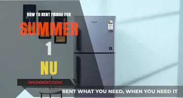 Renting a Fridge for Summer: A Quick and Easy Guide