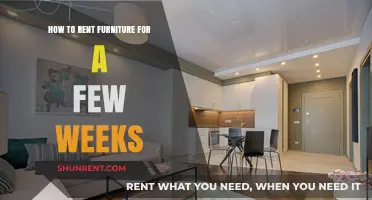 Short-Term Furniture Rental: Tips for Temporary Home Styling