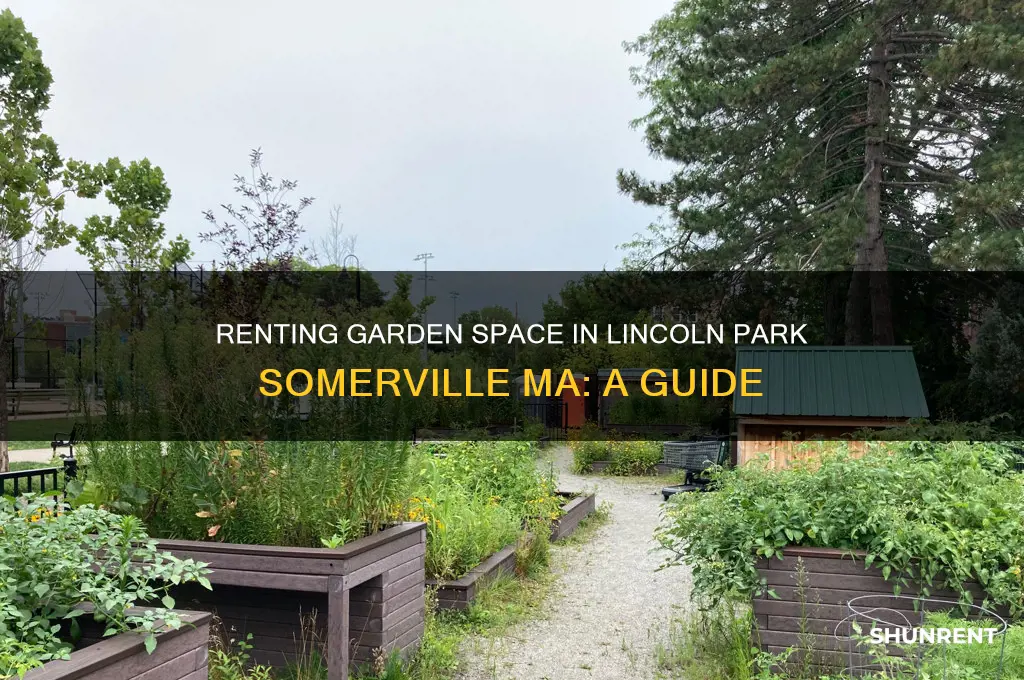 how to rent garden space at lincoln park somerville ma