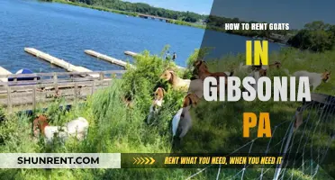 Rent Goats in Gibsonia, PA: Eco-Friendly Land Clearing Solutions