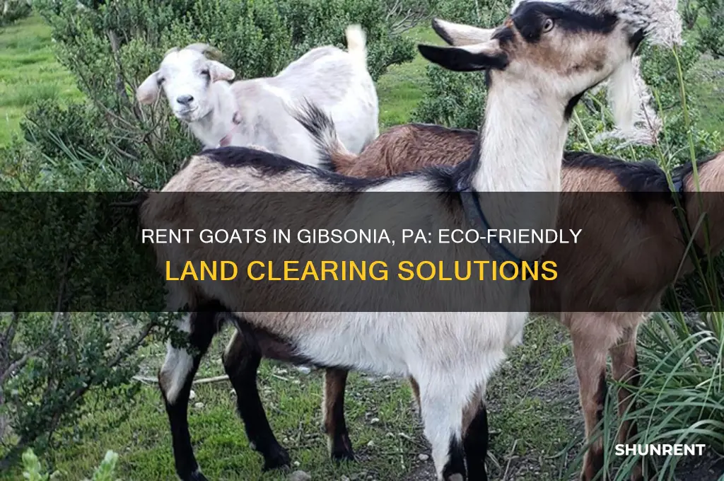 how to rent goats in gibsonia pa