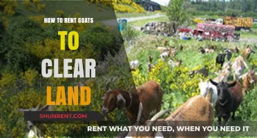 Eco-Friendly Land Clearing: Renting Goats for Effective Vegetation Management