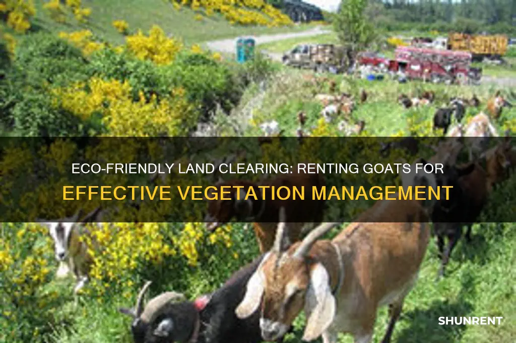 how to rent goats to clear land