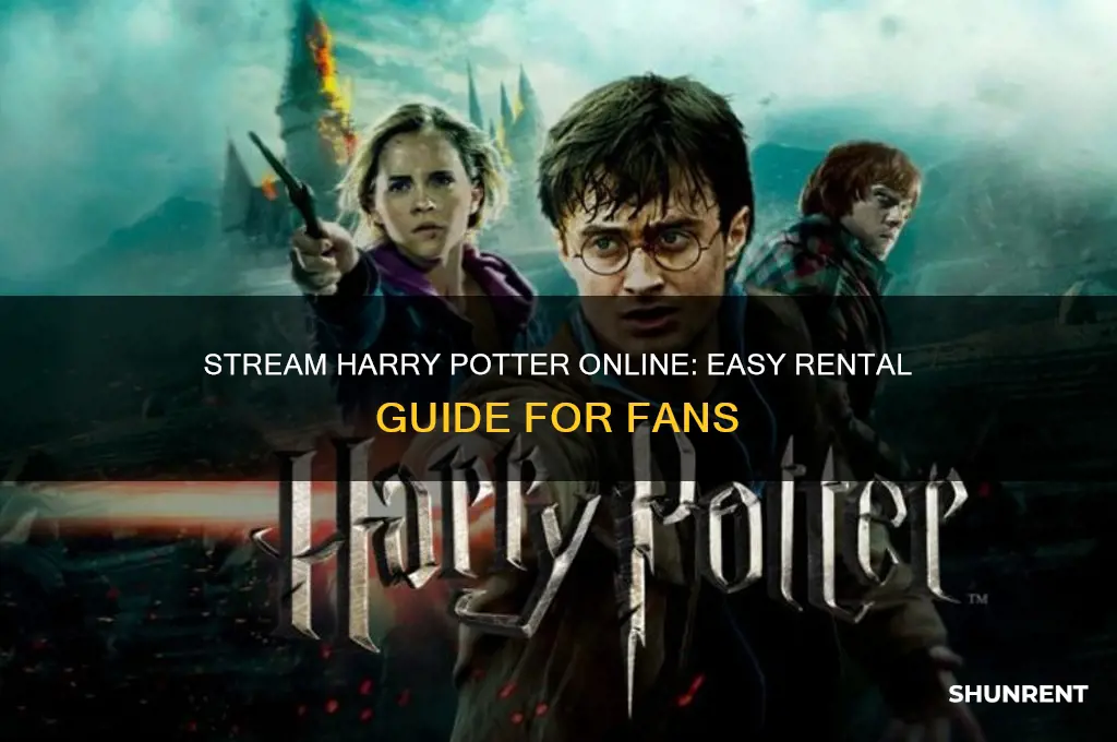 how to rent harry potter on line