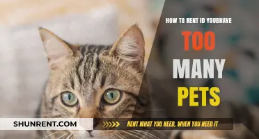 Renting with Multiple Pets: Tips for Finding Pet-Friendly Housing