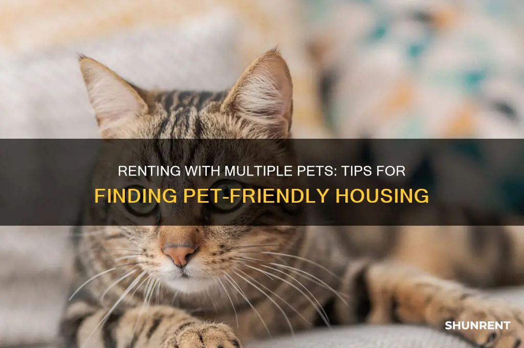 how to rent id youbhave too many pets