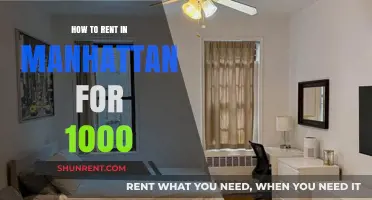 Affordable Manhattan Living: Tips to Rent for $1000 or Less