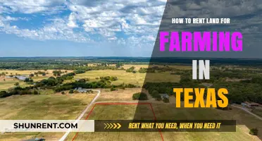 Renting Texas Farmland: A Step-by-Step Guide for Aspiring Farmers