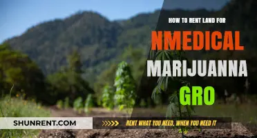 Renting Land for Medical Marijuana Cultivation: A Comprehensive Guide