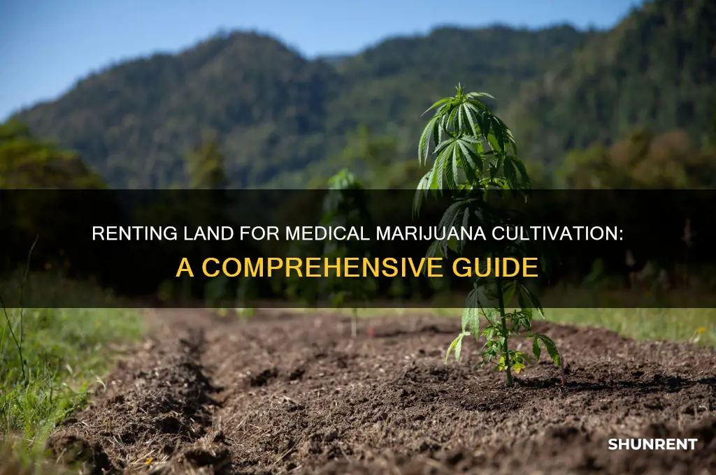 how to rent land for nmedical marijuanna gro