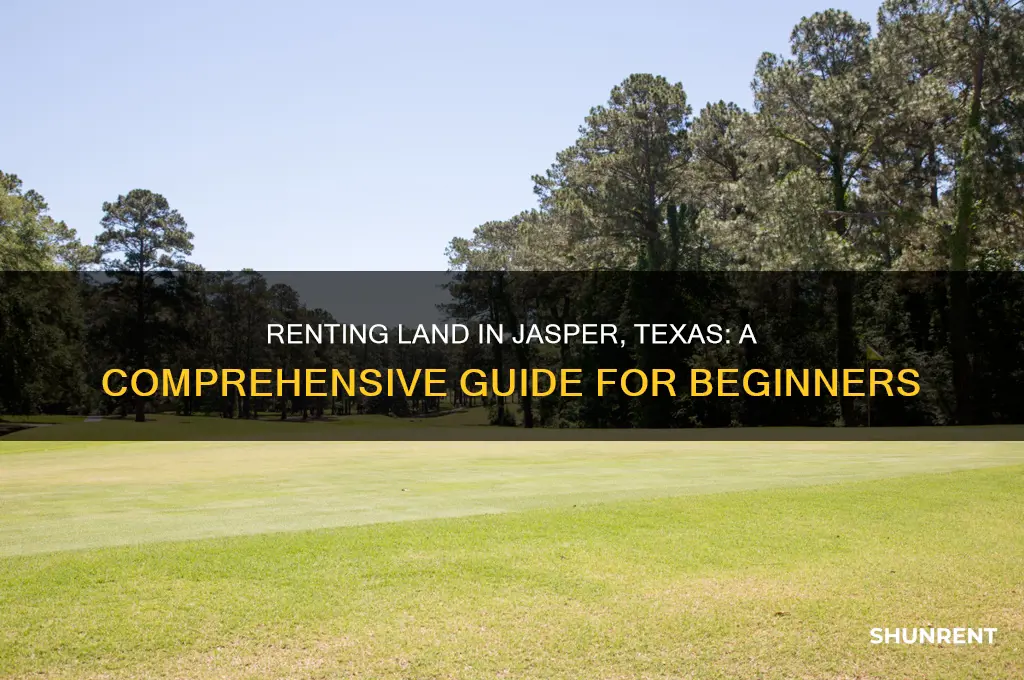 how to rent land in jasper texas