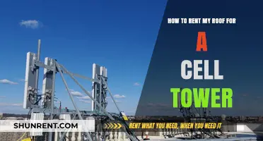 Maximize Earnings: Rent Your Roof for Cell Tower Placement