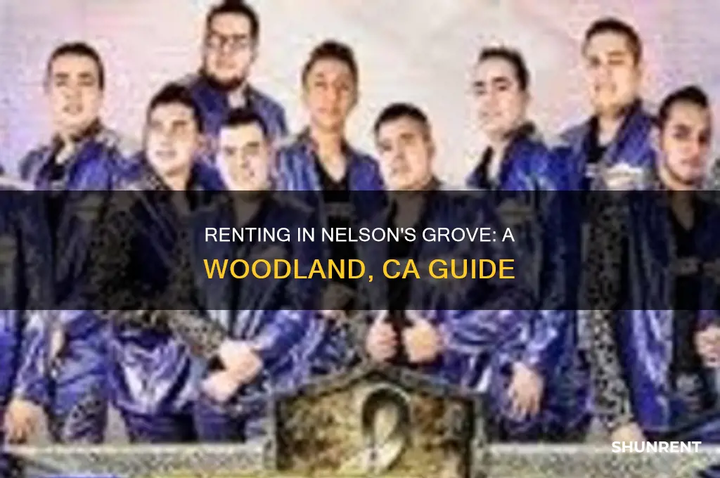 how to rent nelson