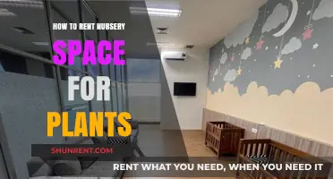 Renting Nursery Space for Plants: A Step-by-Step Guide
