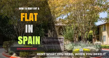 Renting Out Your Spanish Flat: A Comprehensive Guide for Landlords